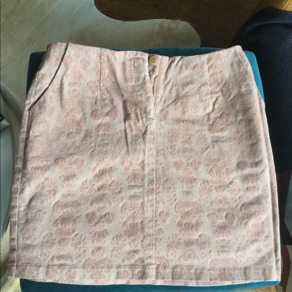 Rose pale skirt with awesome details